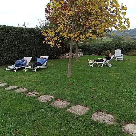 Relax * Ruviano
